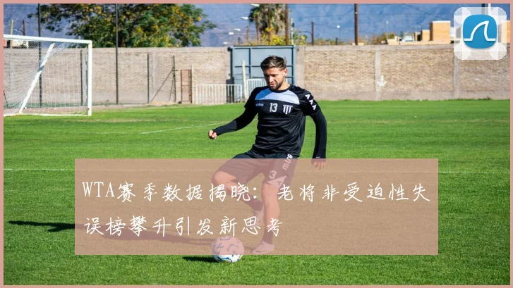 WTA赛季数据揭晓：老将非受迫性失误榜攀升引发新思考