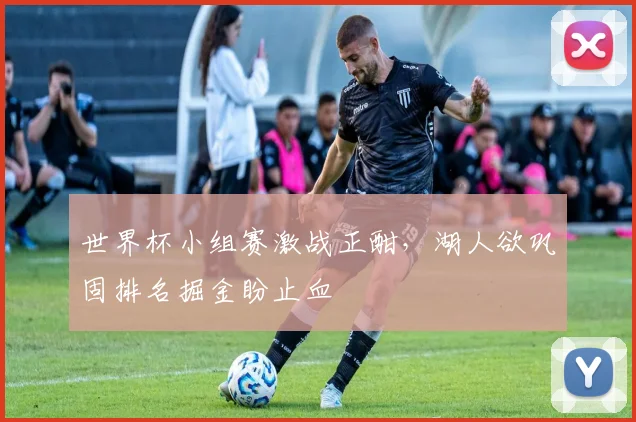 世界杯小组赛激战正酣，湖人欲巩固排名掘金盼止血