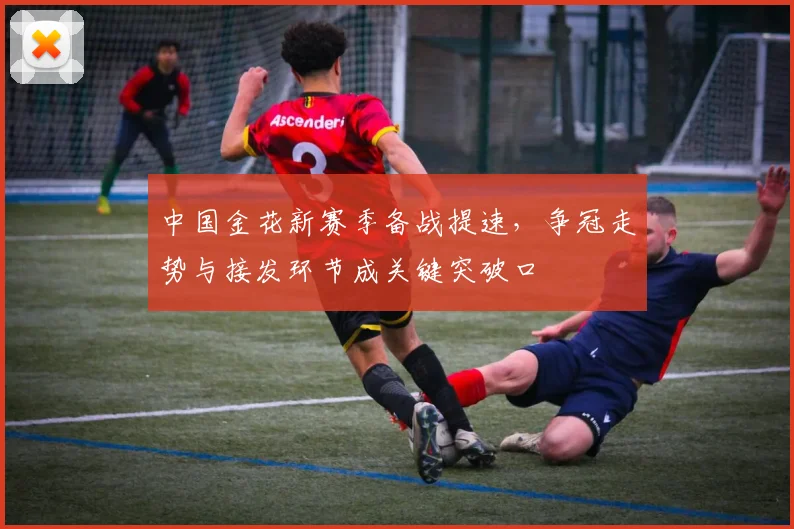 中国金花新赛季备战提速，争冠走势与接发环节成关键突破口