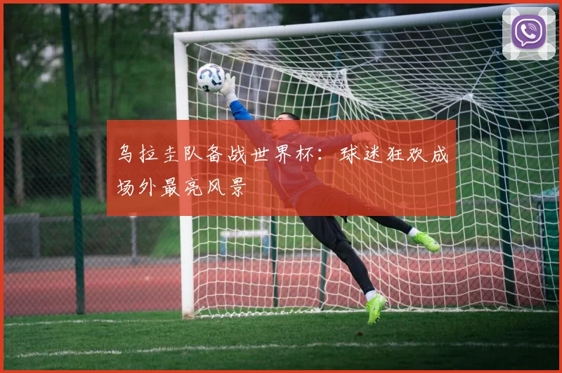 乌拉圭队备战世界杯：球迷狂欢成场外最亮风景